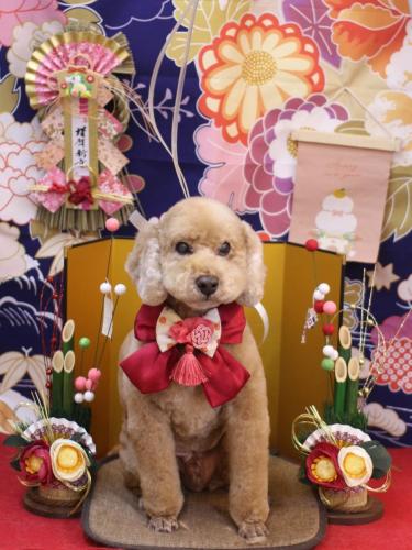 20240123アルトくん